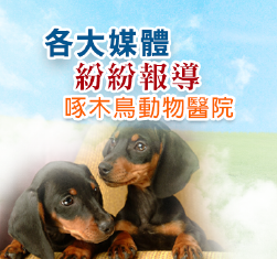 報導彙總